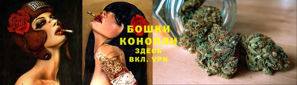 прущие крисы Покачи