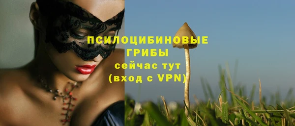 прущие крисы Покачи