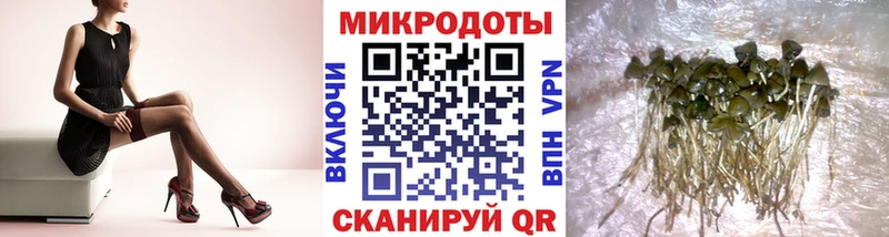 Псилоцибиновые грибы Psilocybine cubensis  МЕГА ССЫЛКА  Сельцо  где купить  