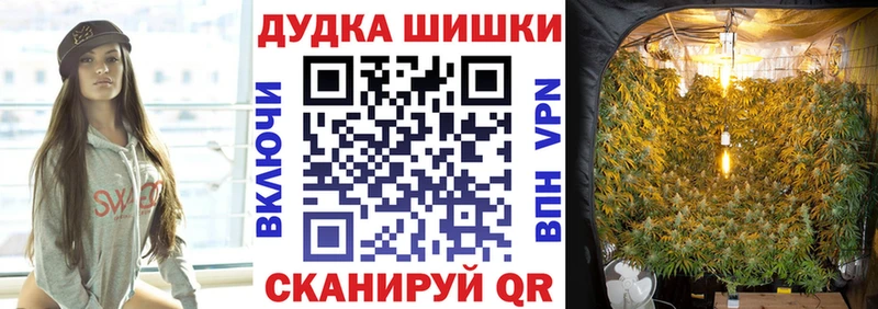 Марихуана сатива  Сельцо 